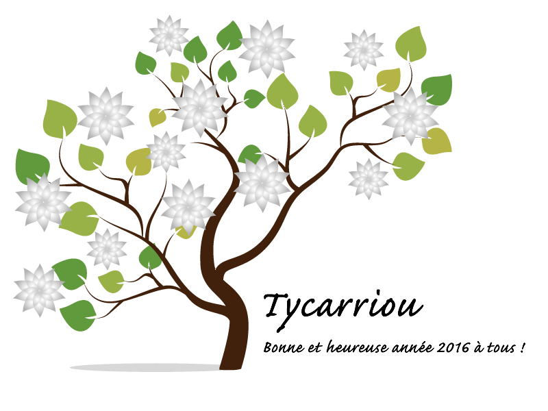 Bonne année 2016