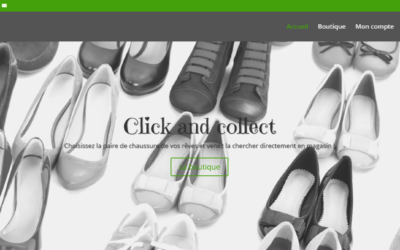 Le Soulier d’Emily