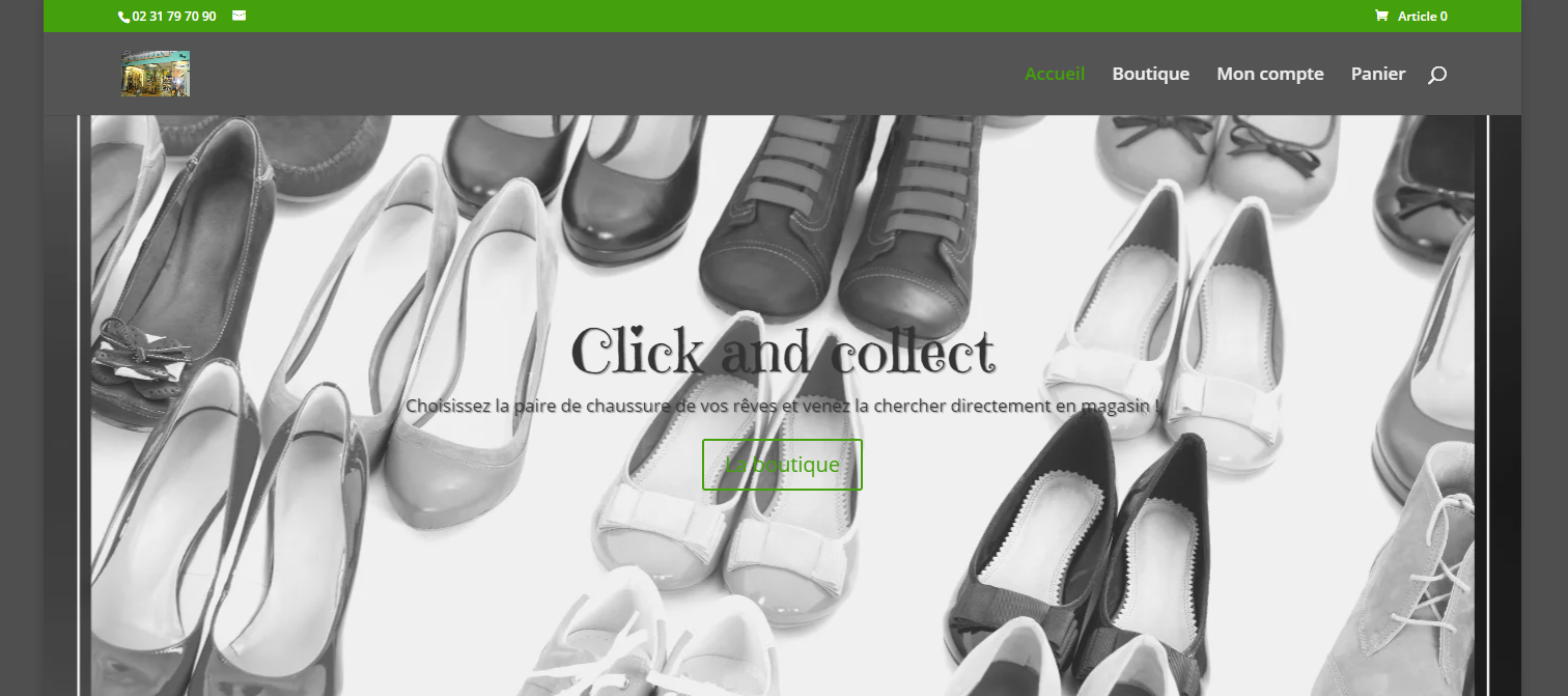 Capture d’écran soulier d emily