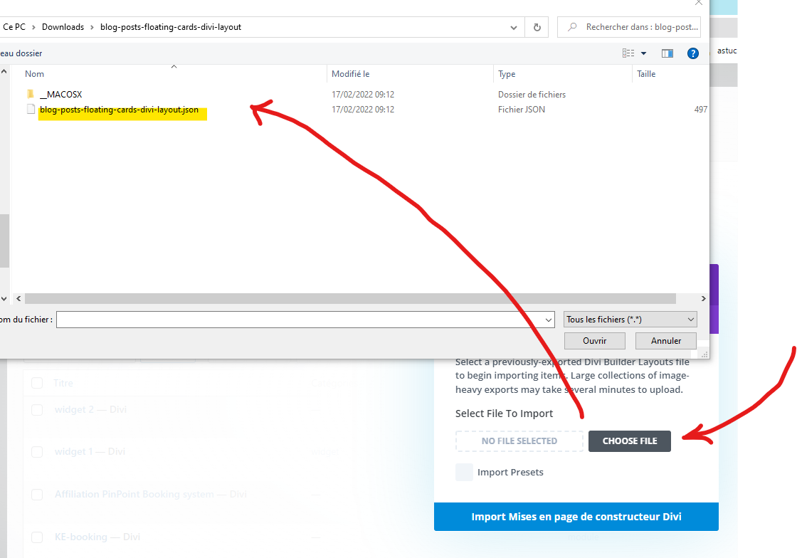 importer le fichier json